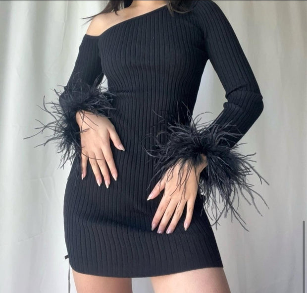 Leslie Off Shoulder Feather Trim Mini Dress